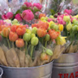 Meet your Posher, Larkin